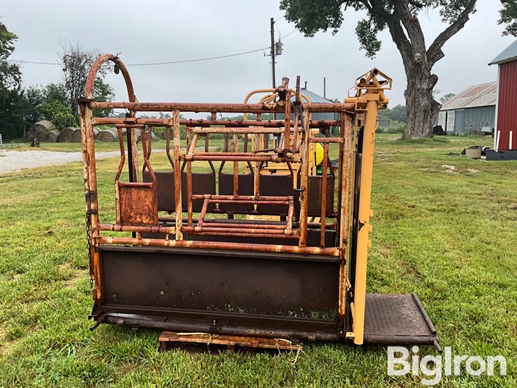 for-most-cattle-working-chute-image-8