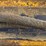 deere-555g-image-20
