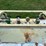 anhydrous-tanks-image-12