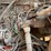 2010-broce-rjt350-image-43