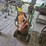 #8785-•-torch-cart-image-14
