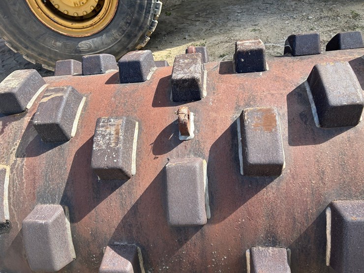 #1349-•-sheep's-foot-image-6