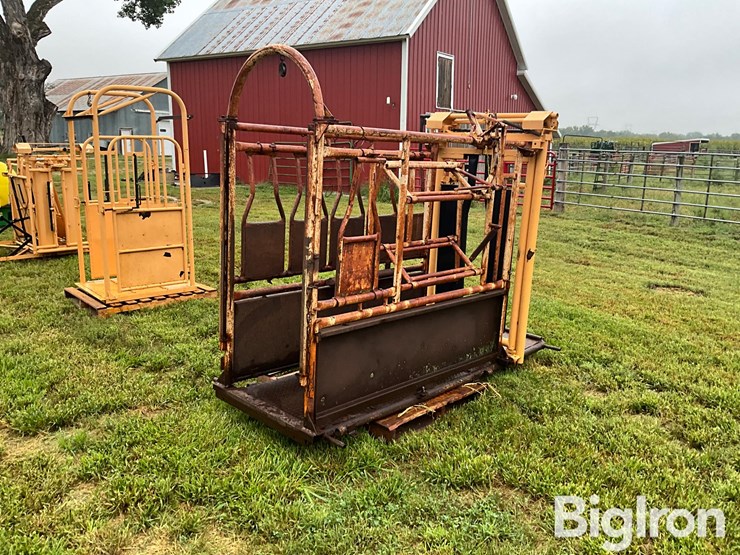 for-most-cattle-working-chute-image-5