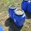 #50148-•-lot-of-(2)-jugs-w/lids-inv#50148-image-1