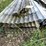 #1632-•-pallet-of-corrugated-steel-image-3