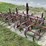 ford-228-spring-tooth-harrow-image-5