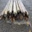 round-wooden-fence-posts-8'l-image-5