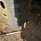 #3283-•-1-1/2-ton-utility-trailer-image-15