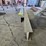 #8758-•-2---steel-i-beams-image-8