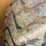 komatsu-wa500-1le-image-105