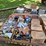 #8000-•-live-on-the-ground-only-items-image-12