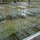 #50180-•-2'x1'x55"-5-unit-rolling-metal-shelf-inv#50180-image-1