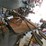#8711-•-delta-band-saw-image-12