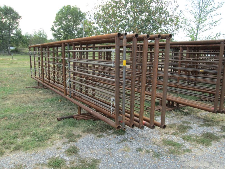 #46127-•-lot-of-(5)-24'-cattle-panels-inv#46127-image-2