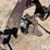 3-pt-cultivator-image-8