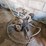 #8771-•-concrete-finisher-image-11