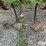 spring-devil-cultivator-image-17