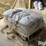 qty-(20)-50lb-bags-of-alfalfa-seed-image-1