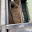 hog-water-troughs-image-10