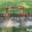 spring-devil-cultivator-image-2