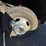 2012-ford-f350-image-64