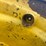 #2936-•-(2)-steel-rims-image-7