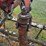 new-idea-401-image-25
