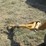 haybuster-107c-image-31