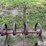 ford-228-spring-tooth-harrow-image-12