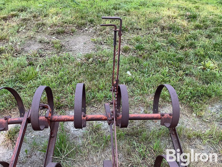 ford-228-spring-tooth-harrow-image-12
