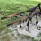 ferguson-nk0-21-cultivator-image-3