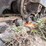 allis-chalmers-hd5-image-45