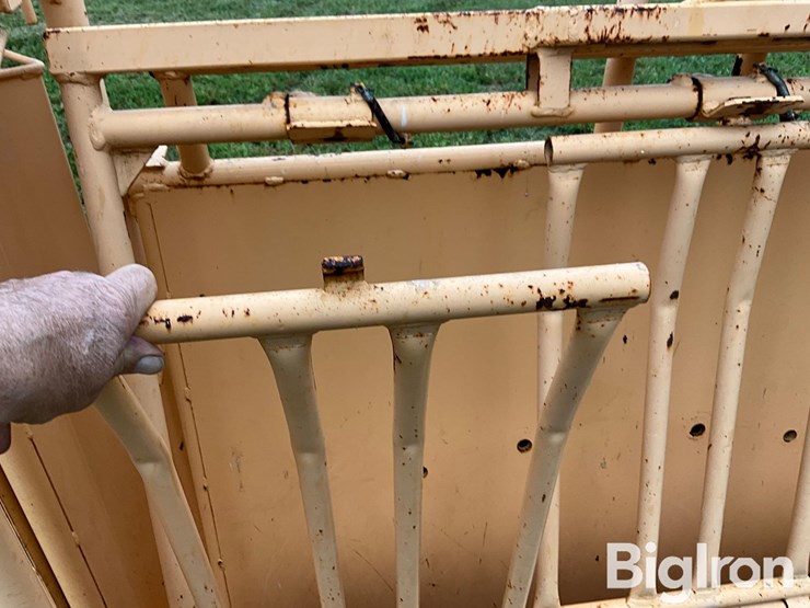for-most-calf-working-chute-image-12