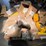 #25313-•-miscellaneous-pallet-of-filters-image-1