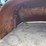 #1023-•-10'-tunnel-for-ag-bag-bagger-image-2
