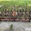 ford-228-spring-tooth-harrow-image-2