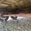 #2344-•-2006-behnke-enterprises-16'-tandem-axle-utility-trailer-image-31