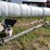 #1619-•-lab-16'-swing-auger-with-flex-arm-image-1