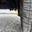 2007-ford-f150-image-23