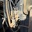 1994-mack-ch613-image-20
