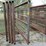 #46124-•-lot-of-(5)-24'-cattle-panels-inv#46124-image-4