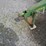john-deere-7200-image-5