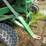 1990-john-deere-1990ccs-image-12