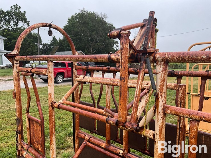 for-most-cattle-working-chute-image-14