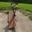 massey-ferguson-back-blade-image-2