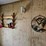 #8001-•-live-on-the-ground-house-hold-items-image-52