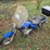 #25254-•-2006-kawasaki-eliminator-125-motorcycle-image-2