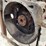 cummins-n14-celect-plus-engine-image-10