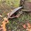 #25270-•-ferguson-2-bottom-plow-image-11