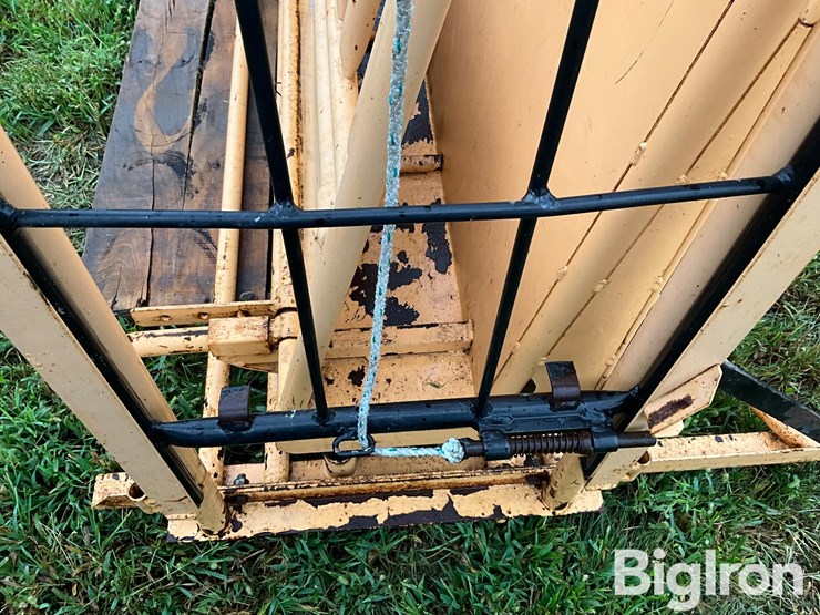 for-most-calf-working-chute-image-16